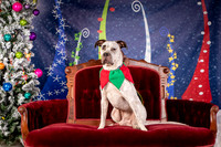 Foster Sylvester-0935