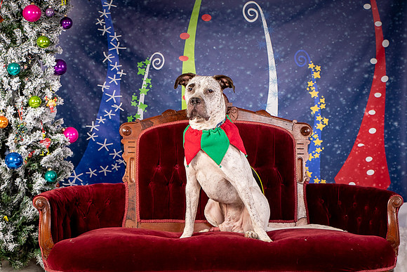 Foster Sylvester-0935