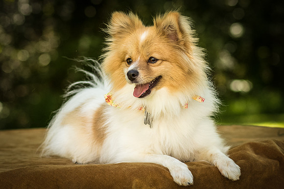 Foster Sydney-7556