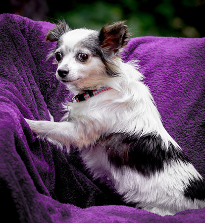 Foster Anouk-8772