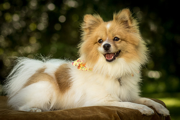 Foster Sydney-7580