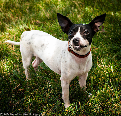 Foster Melia-9844