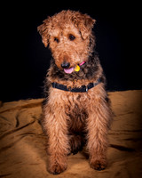 Dixie Lou-5642