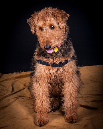 Dixie Lou-5642