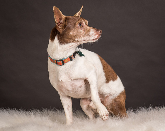 Foster Gus-0330