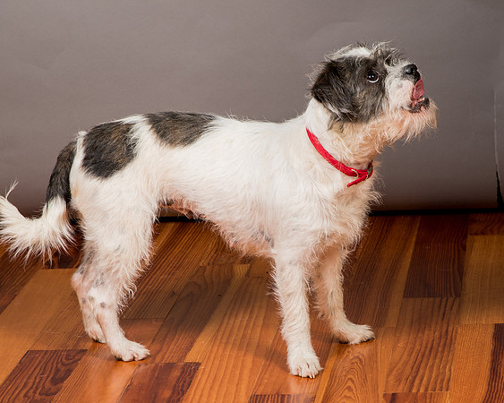 Foster Leeza-2865