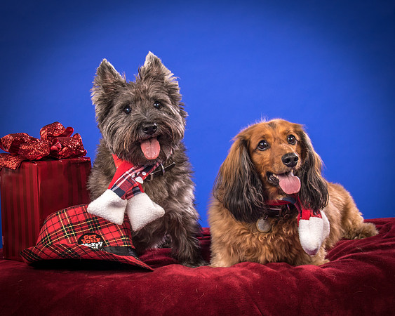 Sauls-Brodie and Baxter-5544
