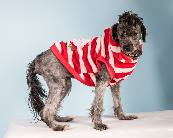 Foster Oakland-5564