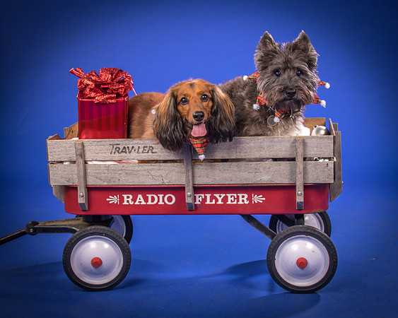Sauls-Brodie and Baxter-5595