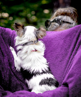 Foster Anouk-8736