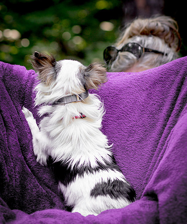 Foster Anouk-8736