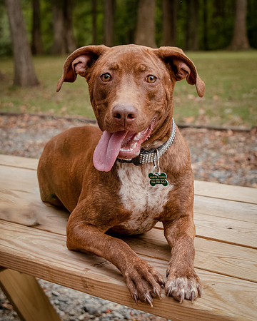 Foster Caitlyn4834