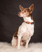 Foster Gus-0299