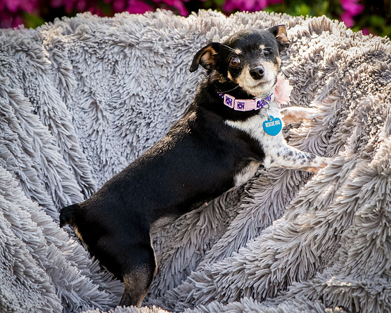 Foster Leela-7922