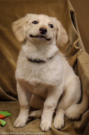 Foster Stephanie-0427