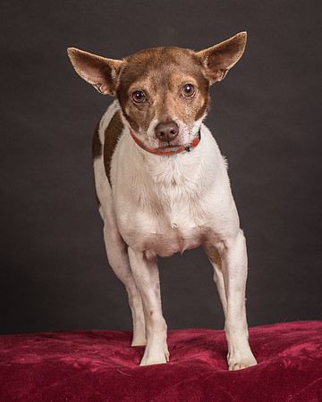 Foster Gus-0359