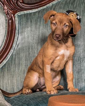 Foster Bronwyn-8330