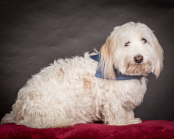 Foster Frosty-0553