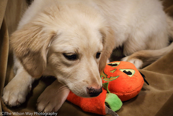 Foster Stephanie-0402