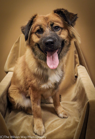 Foster Blair-0660