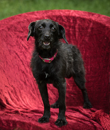 Foster Noche-0740