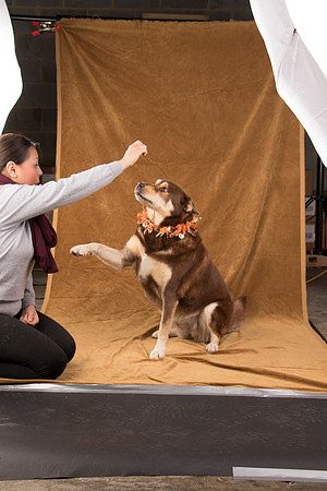 Calendar Bloopers-9380