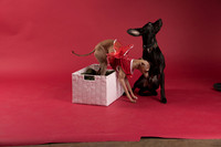 Calendar Bloopers-9166
