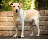 Foster June-8443