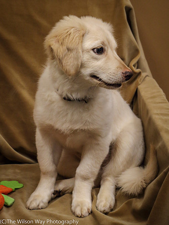 Foster Stephanie-0428