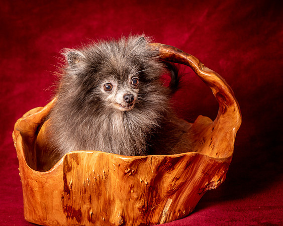 Foster Loretta-1334