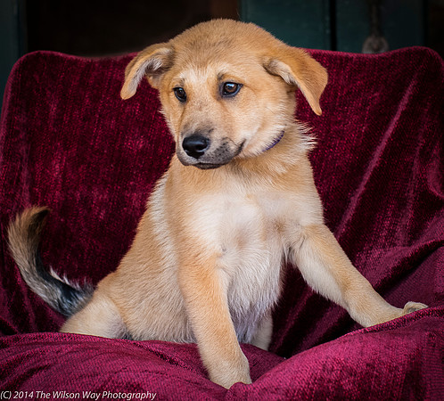 Foster Luca-9027