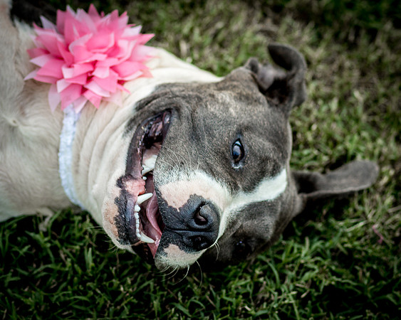 Foster Maya-0303