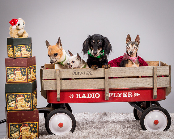 Foster Hospice Gang-3947