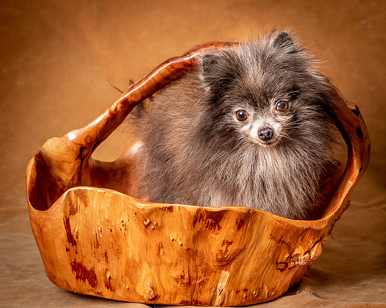 Foster Loretta-1328