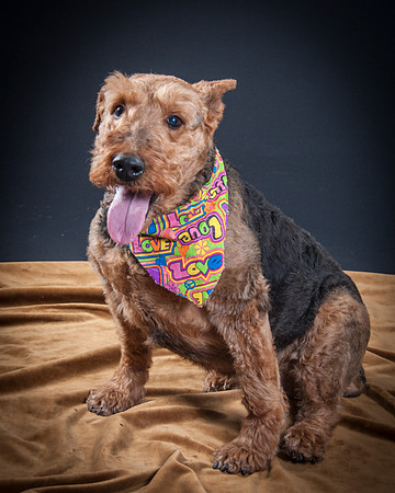 Katie-5300