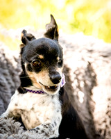 Foster Leela-7934