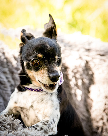 Foster Leela-7934
