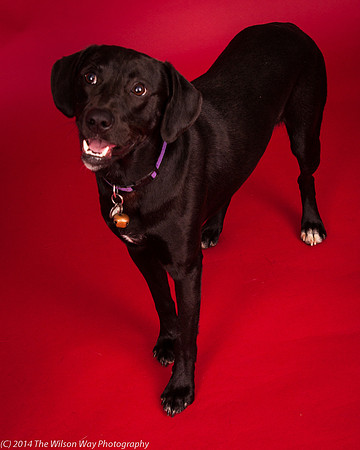 Charley-6215