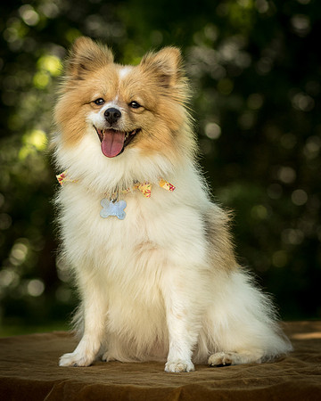 Foster Sydney-7694