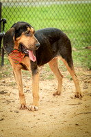 Jethro-0866