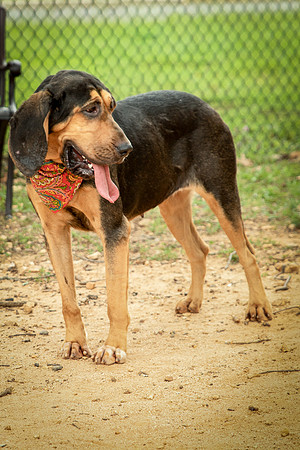 Jethro-0866