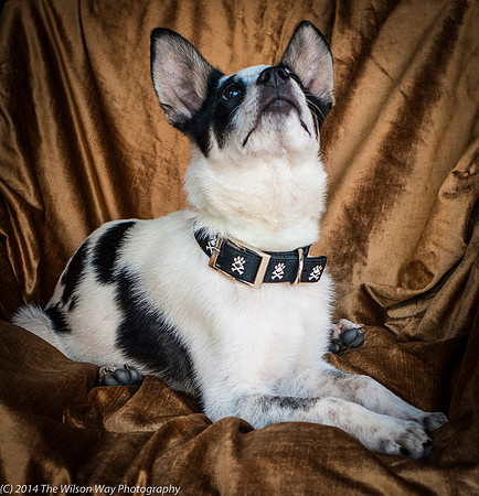 Foster Oliver-8952
