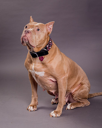 Maggie Griner-7469