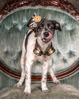 Foster Billie-8140