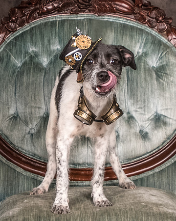 Foster Billie-8140
