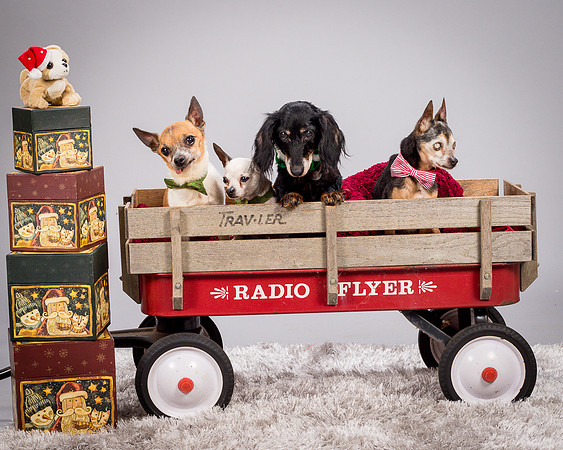 Foster Hospice Gang-3921