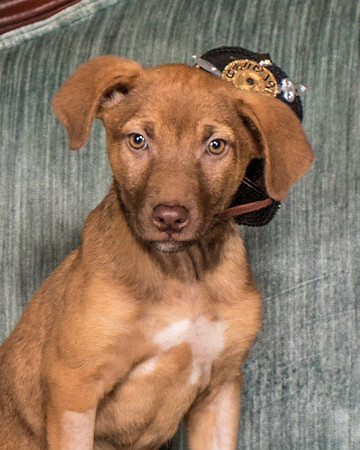 Foster Bronwyn-8329
