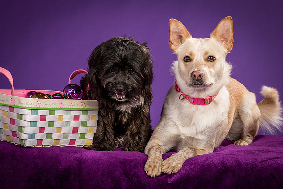 Henry and Maggie-1296
