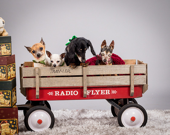 Foster Hospice Gang-3942