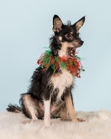 Foster Riley-4983